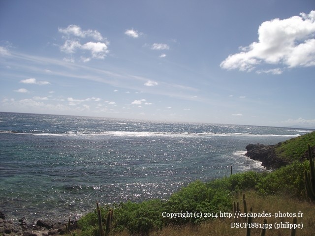 DSCF1881.jpg