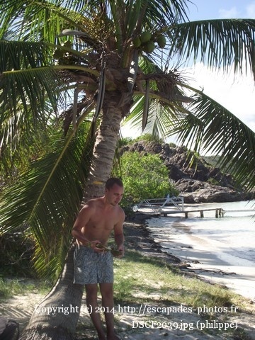 DSCF2039.jpg