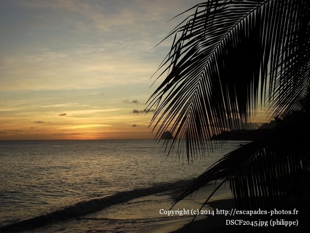 DSCF2045.jpg