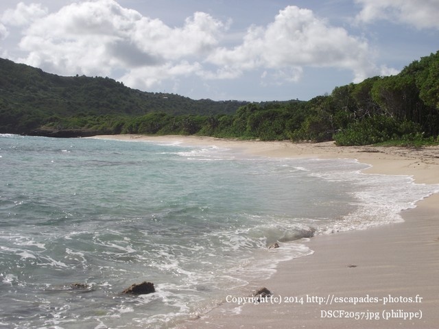 DSCF2057.jpg