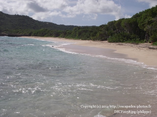 DSCF2058.jpg