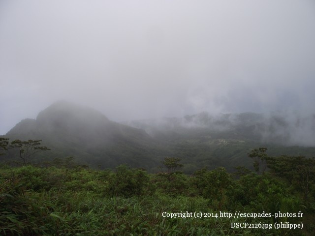 DSCF2126.jpg