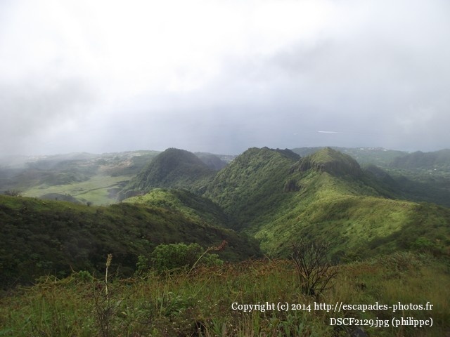 DSCF2129.jpg