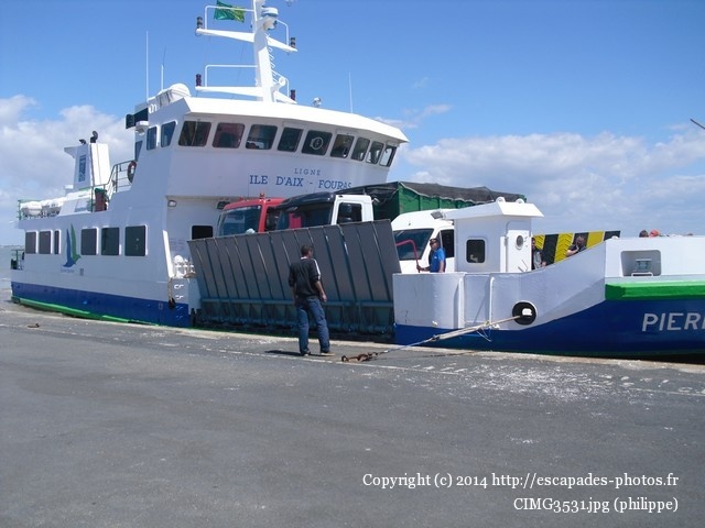 CIMG3531.jpg
