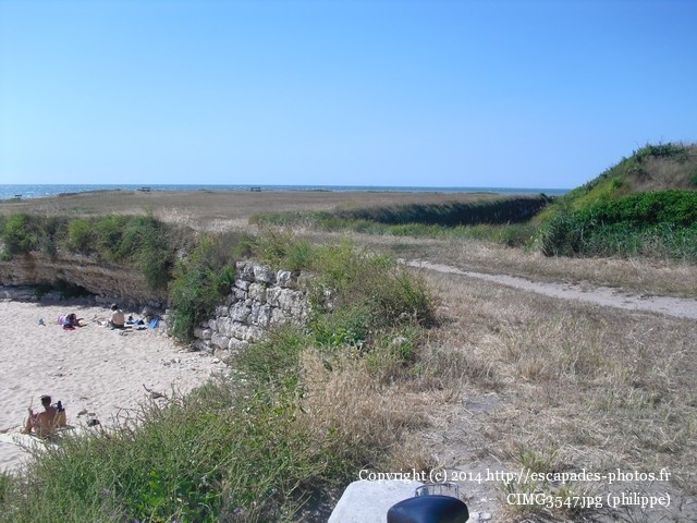 CIMG3547.jpg