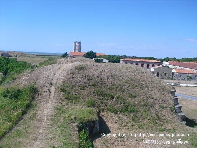 CIMG3558.jpg