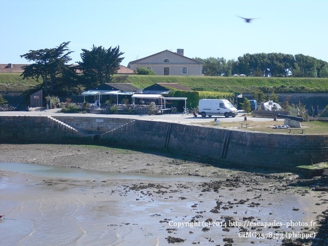 CIMG3578.jpg