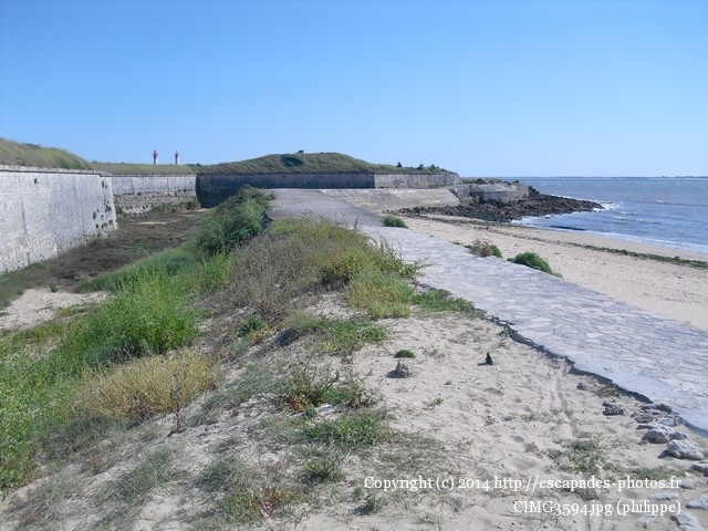 CIMG3594.jpg