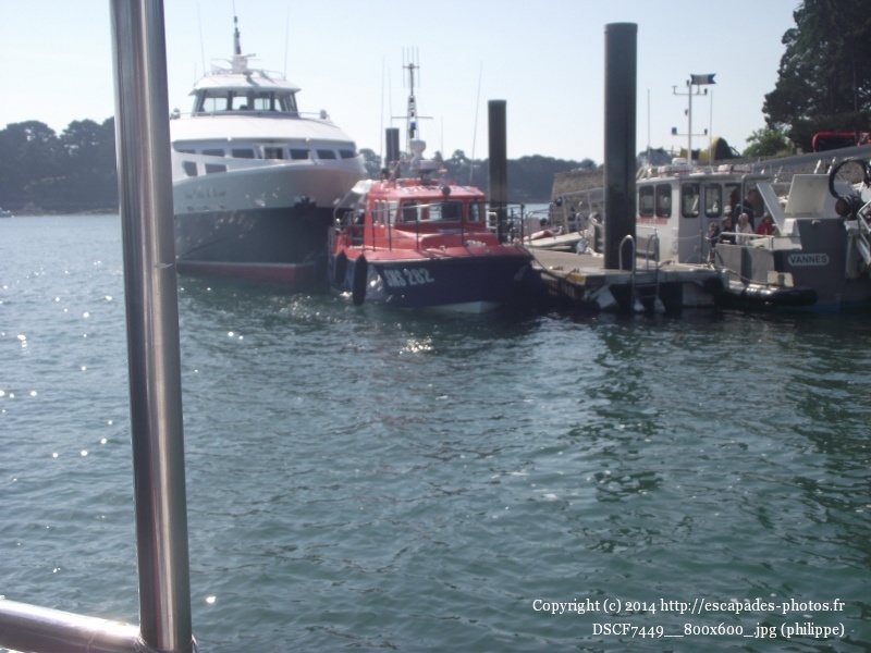 DSCF7449__800x600_.jpg