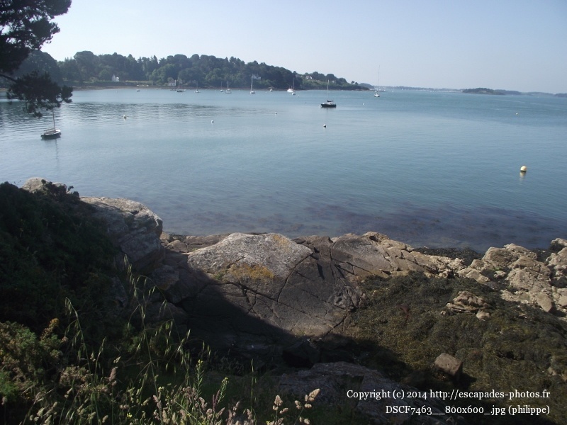 DSCF7463__800x600_.jpg