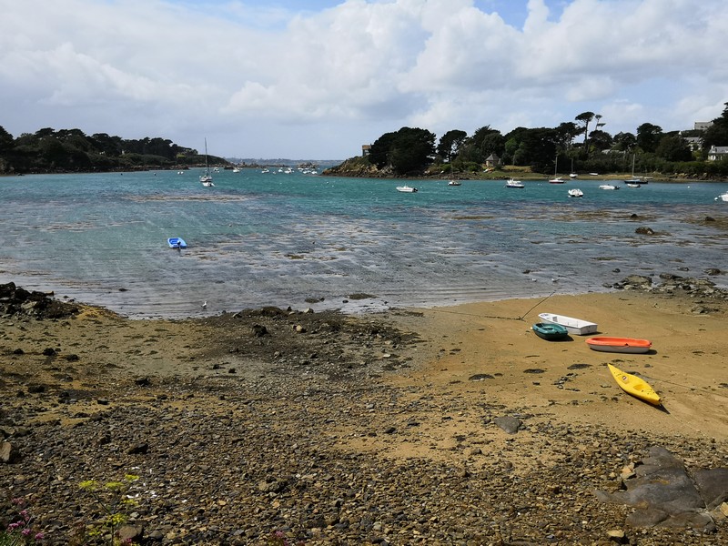 IMG_20190810_144059.jpg
